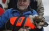 Собака, якого врятували у водах Балтики, повернувся в море