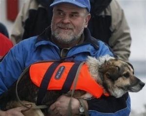 Собака, которого спасли в водах Балтики, вернулся в море