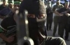 Испания заплатит Аль-Каиде $5 миллионов за троих заложников
