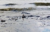 На пляжах Одесской области обнаружили большое нефтяное пятно