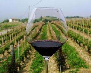 Вітчизняне вино подорожчає  через ушкоджені виноградники