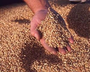 Аграрний фонд через 10 днів почне тендерні закупівлі зерна