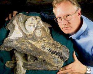 Палеонтологи нашли самые старые остатки динозавров
