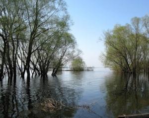 МЧС предупредило о повышении уровня воды в реках