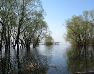 МНС попередило про підвищення рівня води на річках