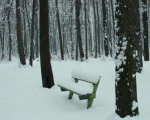 8 марта в Украине будет новогодняя погода: -22 и снег