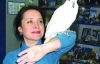 Попугая какаду продают за 30 тысяч гривен