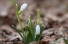 В Україні нарешті запанує весна