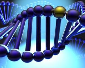 Гены - не главный источник различий между людьми