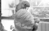 Породистых попугаев Сергей Назарчук продает через Интернет