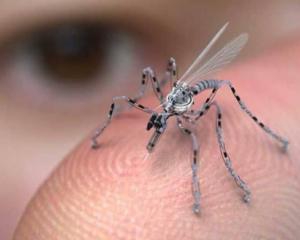 16 гектарів біля Дніпра здали в оренду &quot;для дослідження комарів&quot;