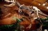 В Австралії знайшли крихітного тиранозавра