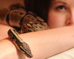 Британцям масаж роблять змії