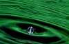 У киевлян из кранов течет зеленая вода с водорослями