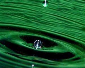 У киян з кранів тече зелена вода з водоростями