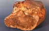 Вчені знайшли бурштинову могилу віком 95 млн років