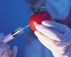 Украина не проверяет семена на наличие ГМО