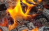 Пенсіонерка випадково впала у вогнище і згоріла  