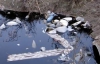 На Франківщині річка стала чорною від нечистот