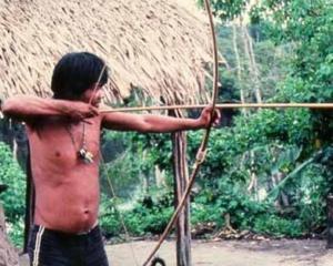 &amp;quot;Аватар&amp;quot; надихнув індіанців Амазонії на війну проти будівництва ГЕС