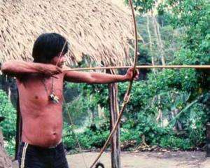 &amp;quot;Аватар&amp;quot; вдохновил индейцев Амазонии на войну против строительства ГЕС