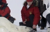 Путін завалив ведмедя і пообіцяв прибрати в Арктиці (ФОТО)