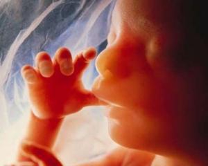 После аборта мальчик оставался живым два дня
