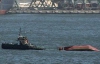 Військовий корабель РФ потопив українське судно (ФОТО)