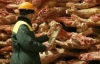 Импортировать в Украину мясо становится невыгодно