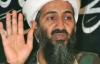 Бен Ладен спокійно живе в Ірані і полює з соколами - ЗМІ