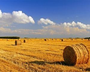 Село Ющенка замінило російський газ соломою