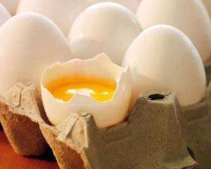 Диоксин у скандальных яйцах появился из-за вулкана в Исландии