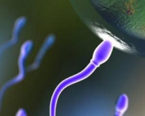 Соя останавливает выработку сперматозоидов
