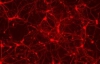 Вчені навчилися відновлювати нервові клітини