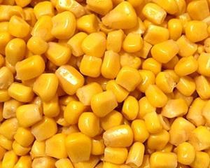 Експерти не знайшли в українській кукурудзі діоксину