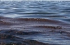 Мексиканский залив превращается в нефтяное болото (ФОТО)