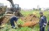 В Херсоне в трехметровый колодец упала корова (ФОТО)