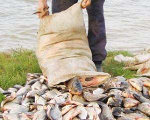 На Черкасчине за решетку попала банда рыбных браконьеров