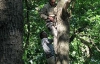 Люди на деревьях воюют за харьковский парк (ФОТО)