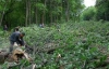 Охорона зламала хребет захисниці харківського лісопарку