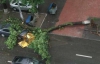 Буря потрощила столичные авто (ФОТО)