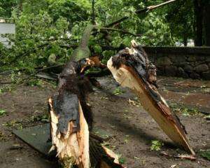 Во Львове из-за урагана на девочку упала крыша дома