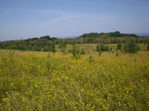 На Черкащині закрили заповідник