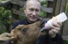 Как Путин лосей молоком кормив (ФОТО)