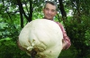 Діти розтоптали 15-кілограмового гриба
