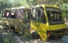 Школьный автобус влетел в дерево: трое детей в больнице (ФОТО)