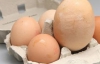У Британії курка знесла гігантське яйце (ФОТО)