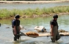 Пляжники нашли у реки фугасную бомбу времен Второй мировой (ФОТО)