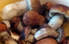 Украинец умер от отравления грибами