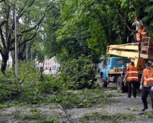 На Закарпатті від буревію постраждали 11 людей